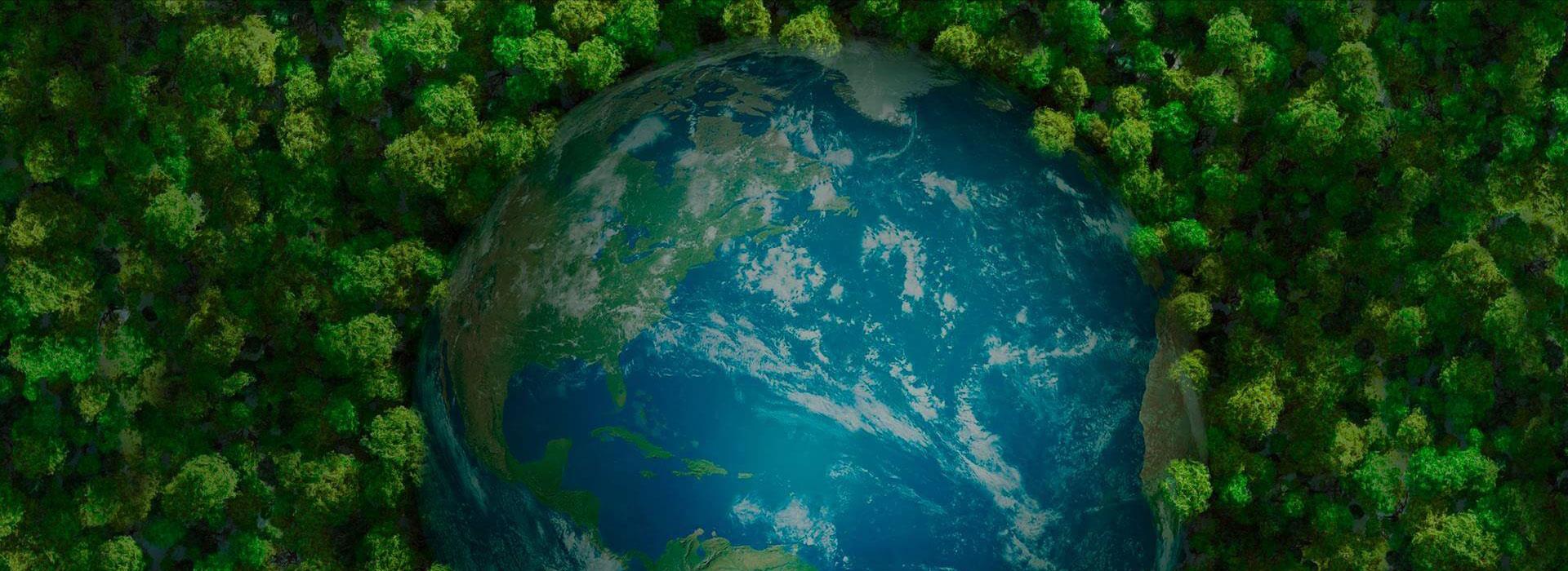 agŞdٷW(wng)վپW(wng)