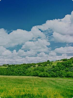 AGŞd (Ї(gu)) ٷW(wng)վ