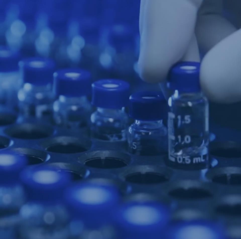 ag旗艦廳官方網站官網