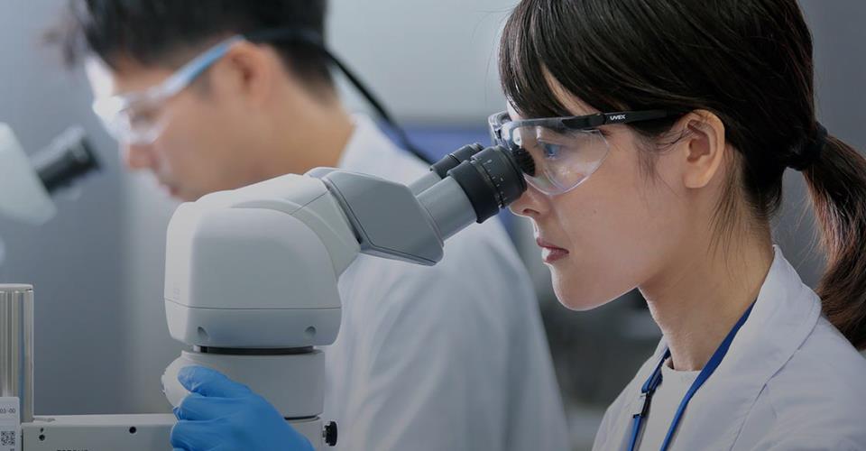 agŞdٷW(wng)վپW(wng)