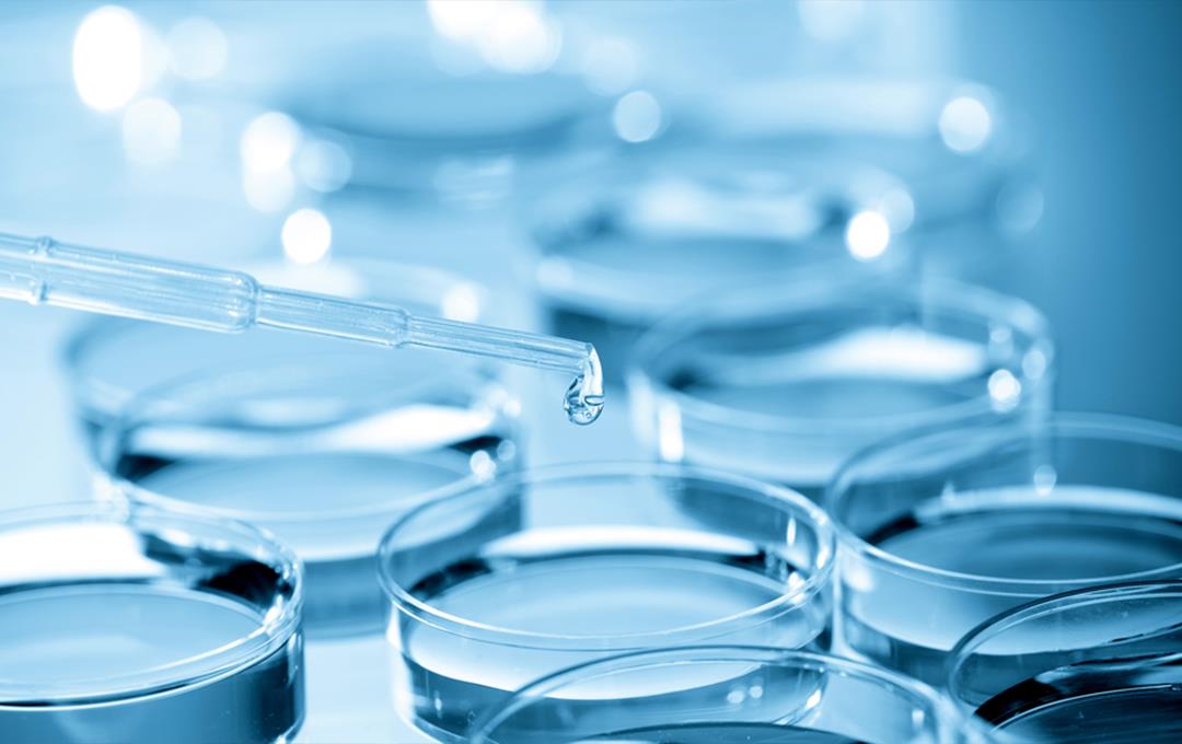 ag旗艦廳官方網(wǎng)站官網(wǎng)