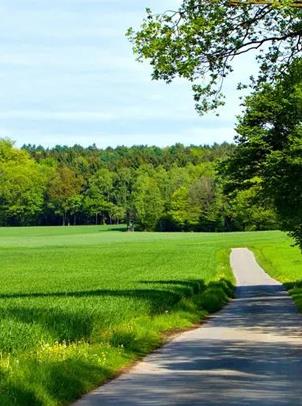 AGŞd (Ї(gu)) ٷW(wng)վ